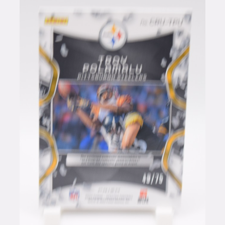 2024 Panini Spectra - Crush Troy Polamalu #CRU-TPU Hyper Prizm /75 (MEM)