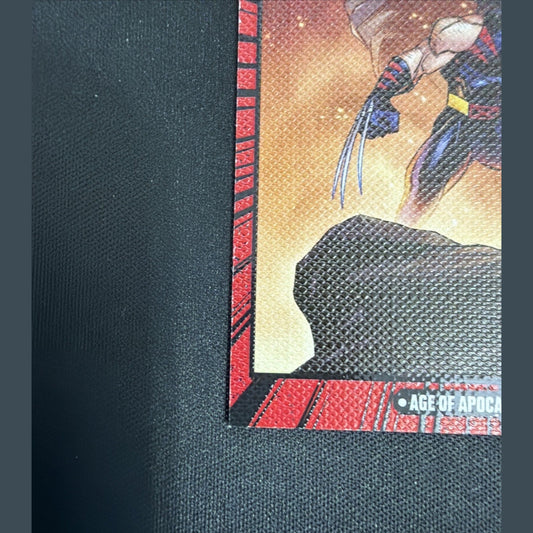 Age of Apocalypse Canvas 2025 Panini Marvel Anthology C2 X-Men Wolverine Magneto