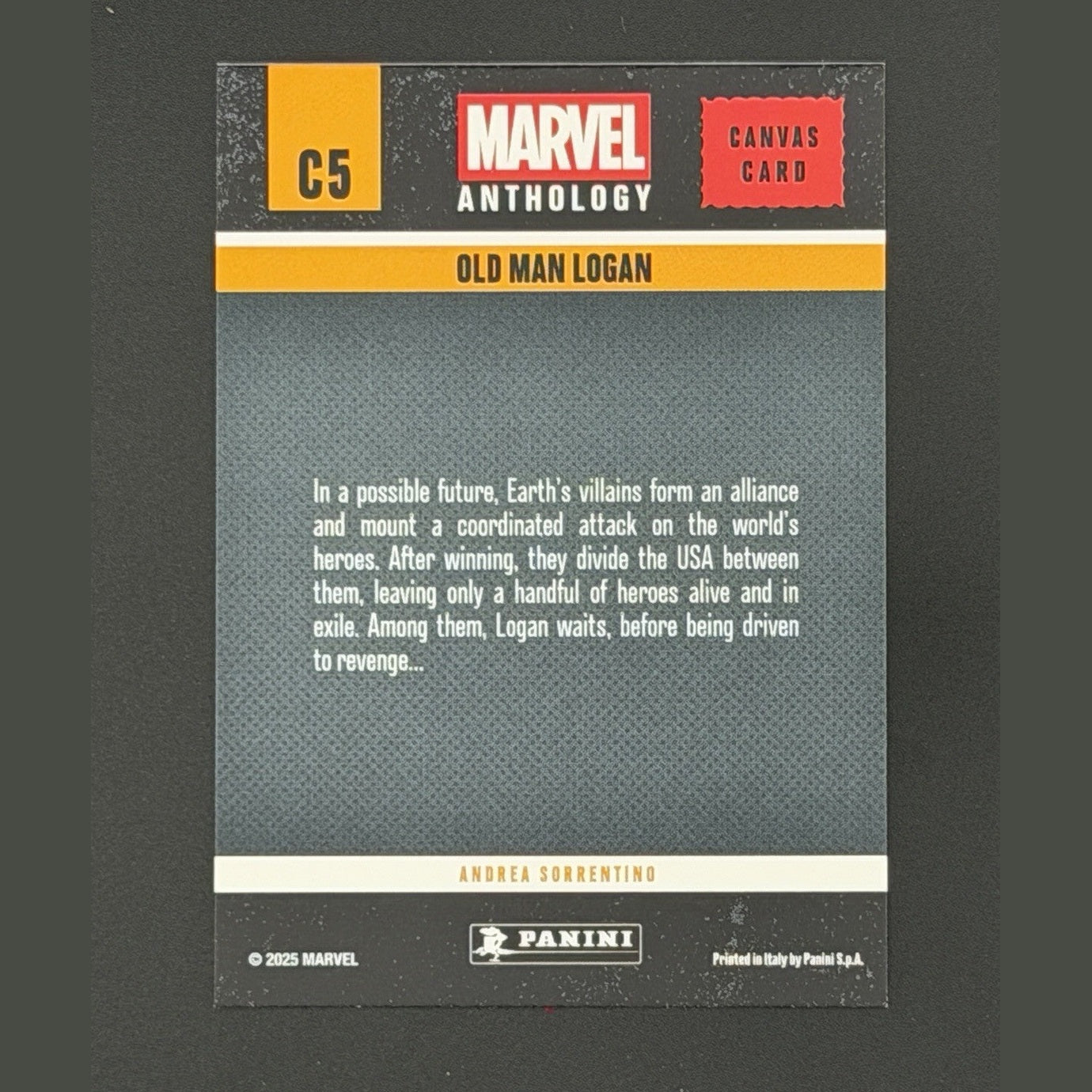 Age of Apocalypse Canvas 2025 Panini Marvel Anthology C2 X-Men Wolverine Magneto