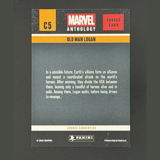Age of Apocalypse Canvas 2025 Panini Marvel Anthology C2 X-Men Wolverine Magneto