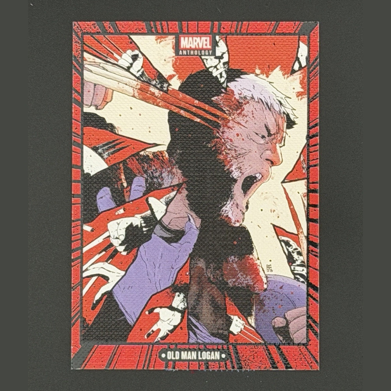 Age of Apocalypse Canvas 2025 Panini Marvel Anthology C2 X-Men Wolverine Magneto