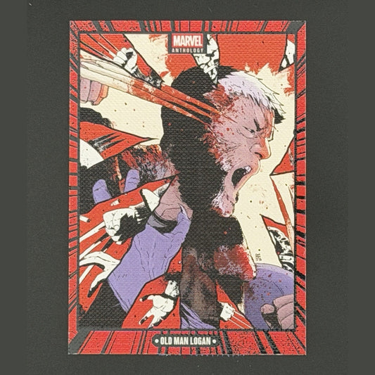 Age of Apocalypse Canvas 2025 Panini Marvel Anthology C2 X-Men Wolverine Magneto