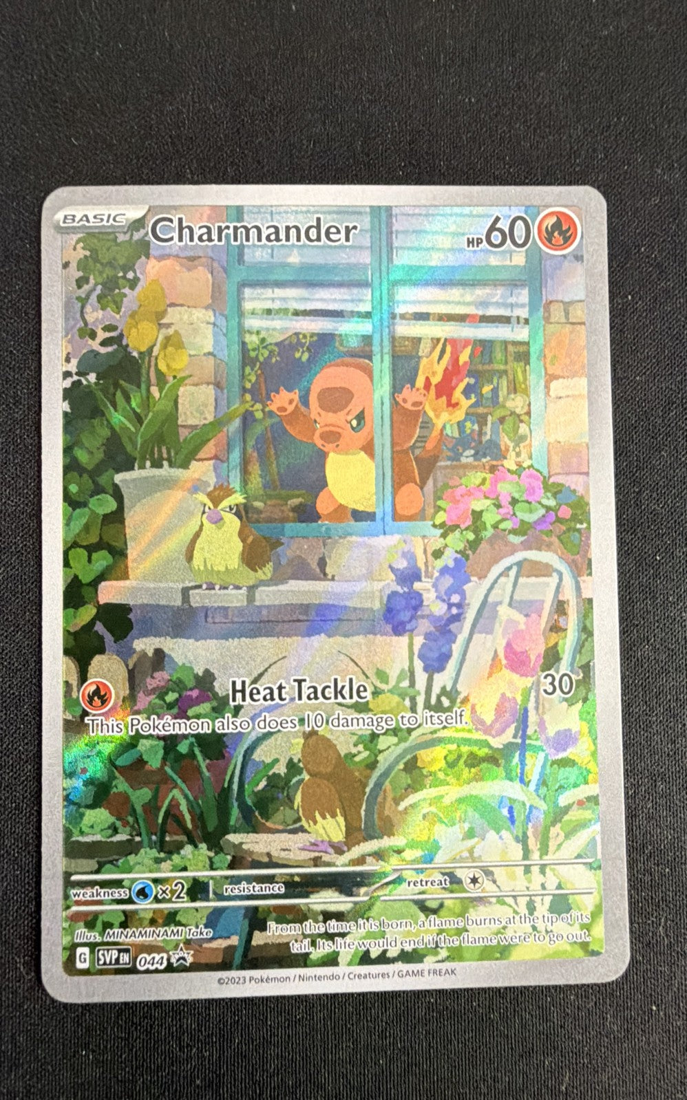 Charmander 044 Sv: Scarlet & Violet Promo Cards Holo