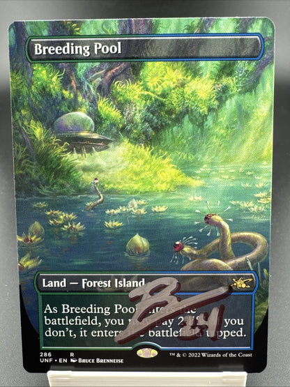 Breeding Pool (Borderless) Unfinity Regular