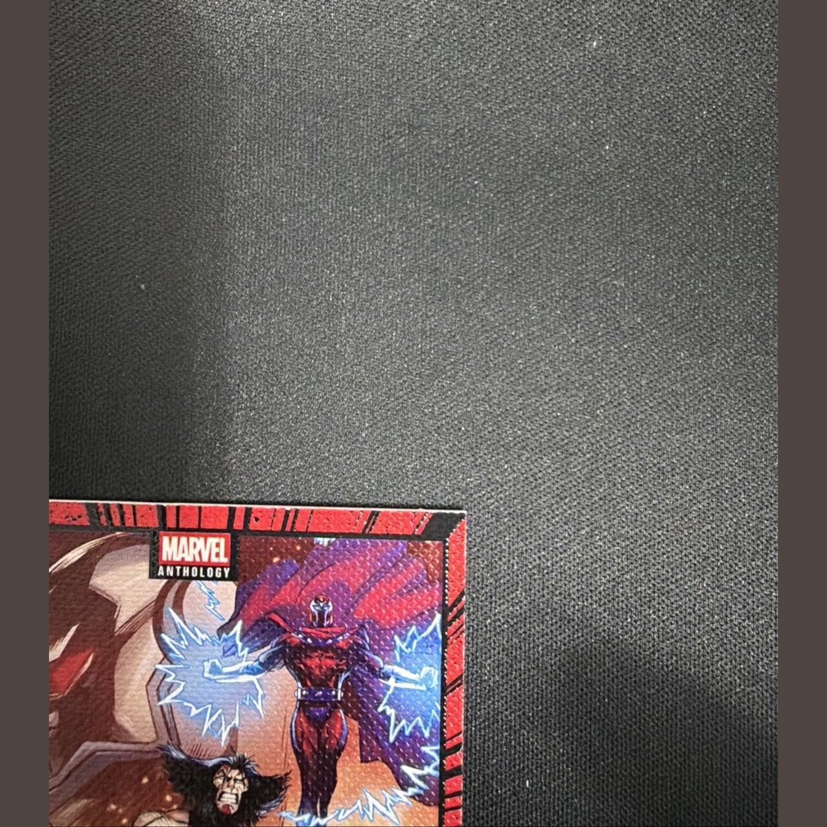 Age of Apocalypse Canvas 2025 Panini Marvel Anthology C2 X-Men Wolverine Magneto