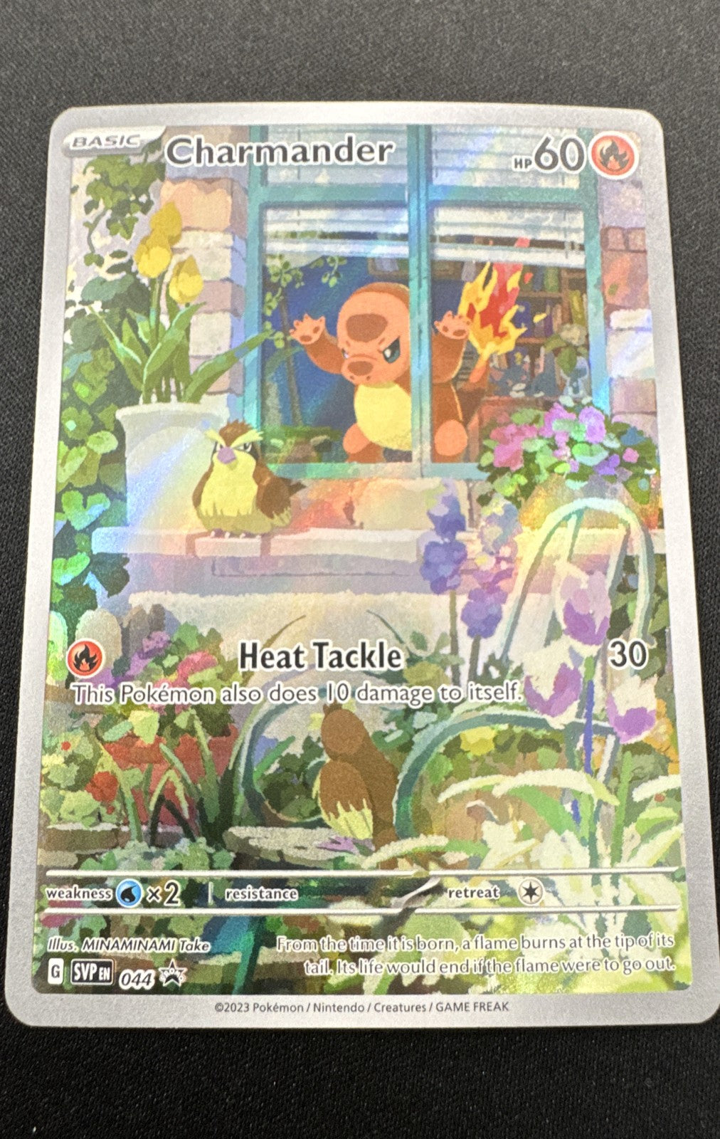 Charmander 044 Sv: Scarlet & Violet Promo Cards Holo