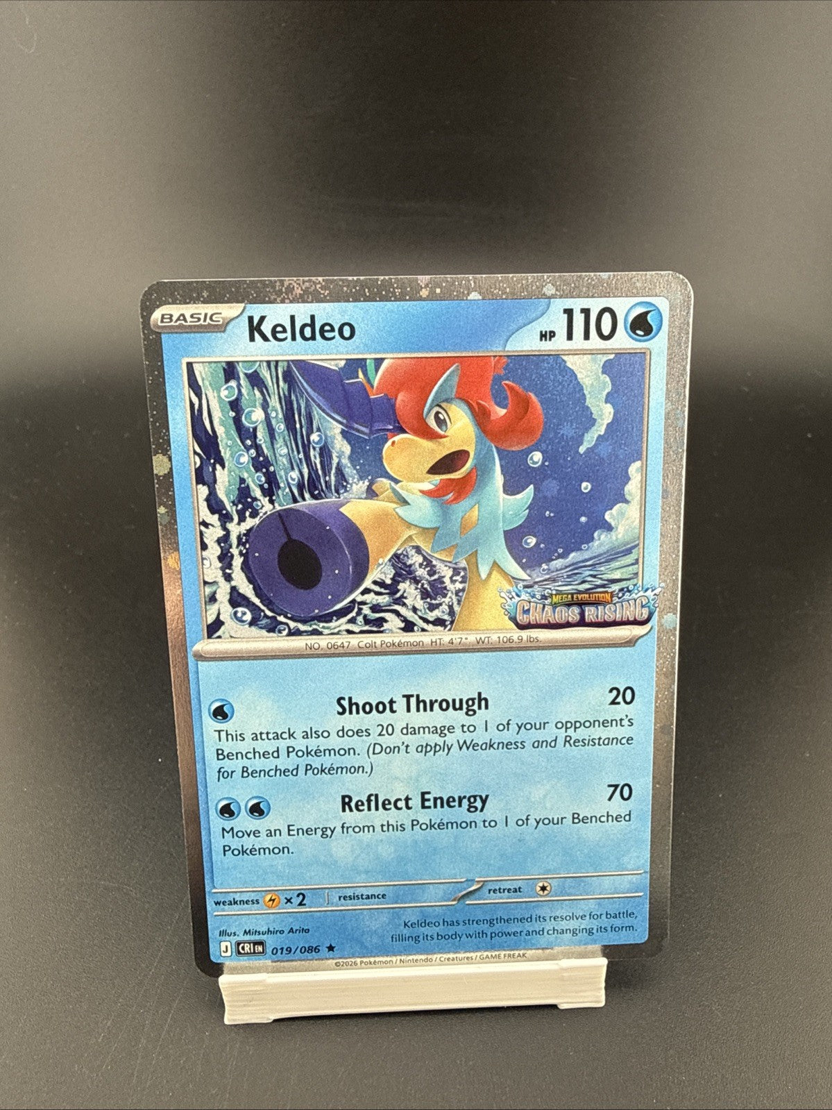 Keldeo Promo Chaos Rising Stamp Water Type 019/086 English Pokémon TCG Card