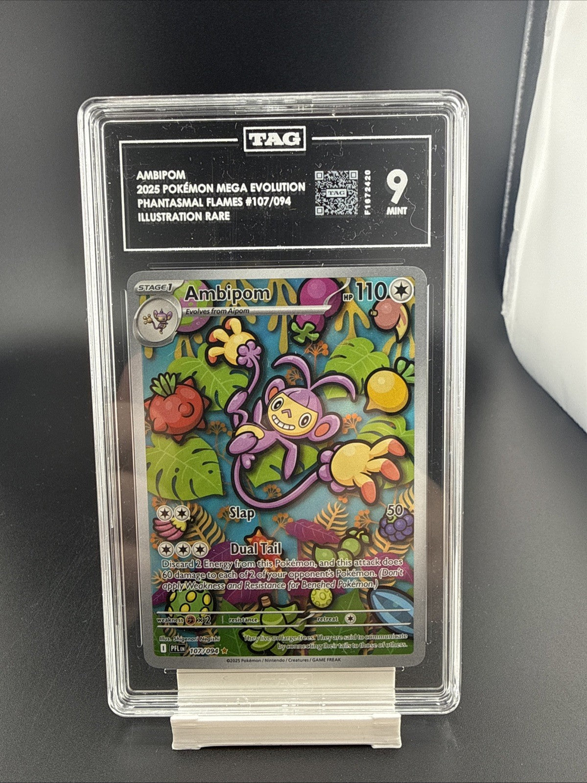 Ambipom *TAG 9* Illustration Rare *Phantasmal Flames* #107 * Pokemon