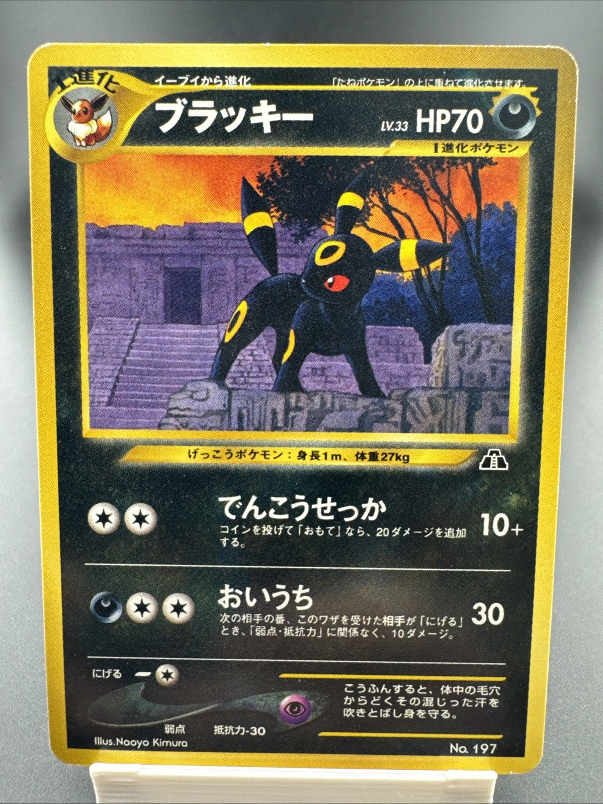 Umbreon Neo Premium File 2 Regular (Japanese)