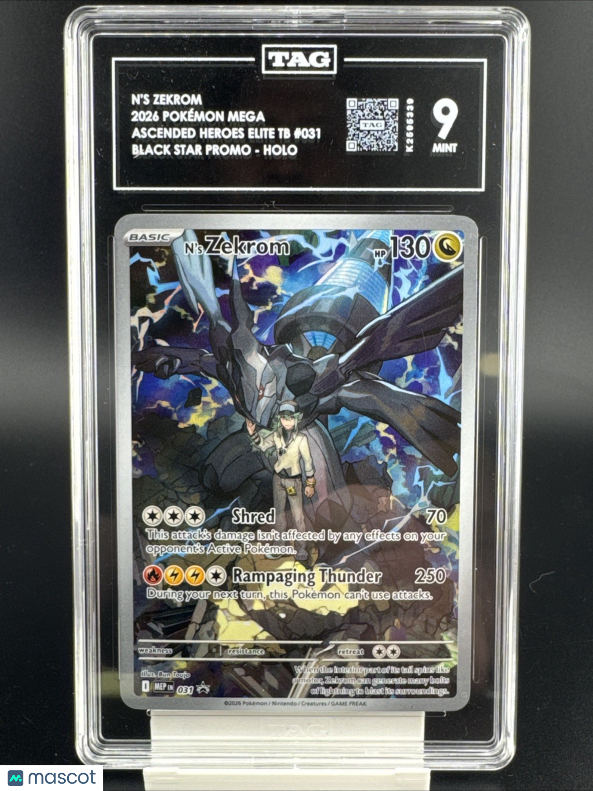 N's Zekrom 2026 Pokemon Mega Ascended Hero’s Elite TB 031 Black Star Promo Holo