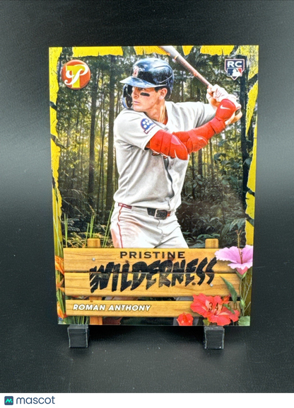 Rookie Topps Pristine #PW-13 Roman Anthony Pristine Wilderness /50