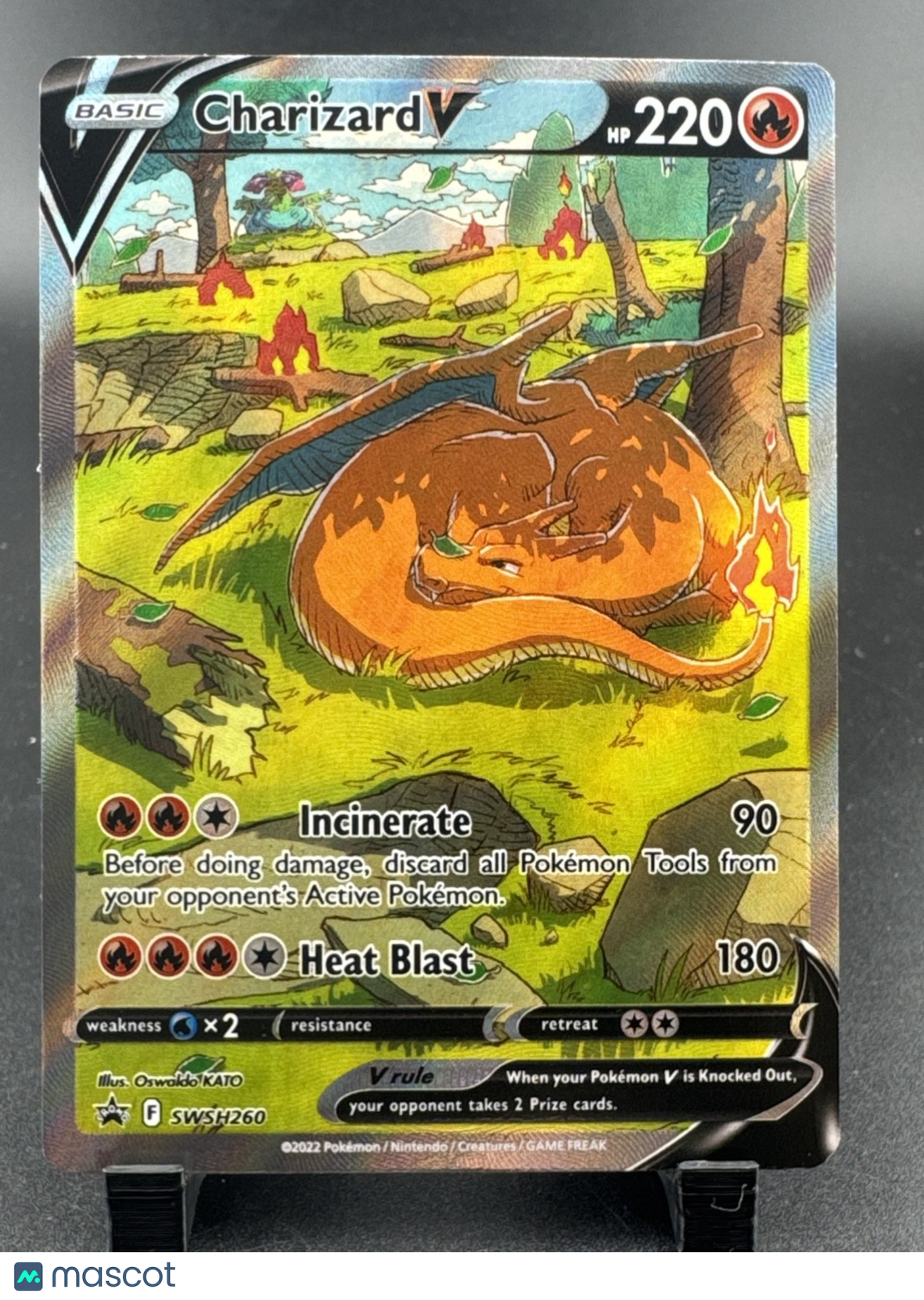 Charizard V SWSH260 SWSH: Sword & Shield Promo Cards Holo