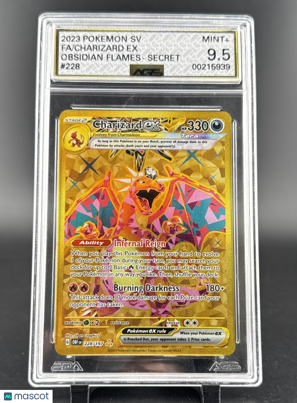 Charizard ex 228/197 SV03: Obsidian Flames Holo