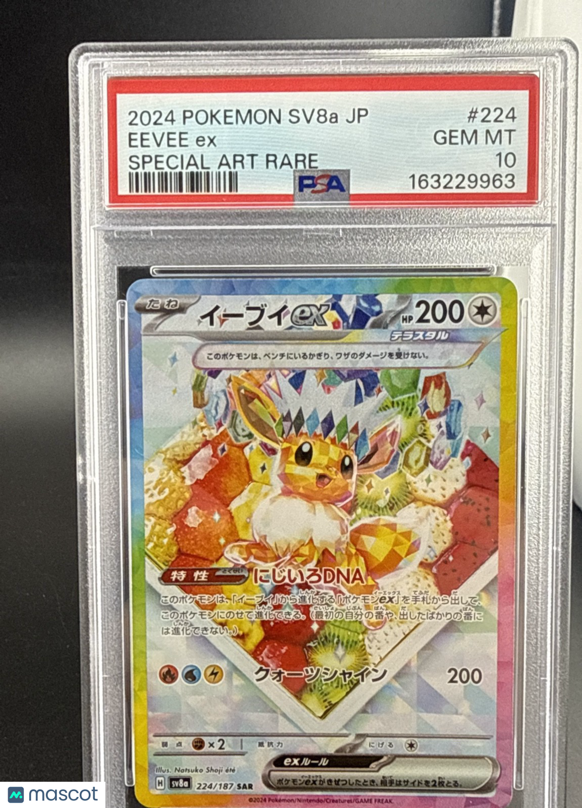 Eevee ex 224/187 Sv8a: Terastal Fest Ex Holo (Japanese)