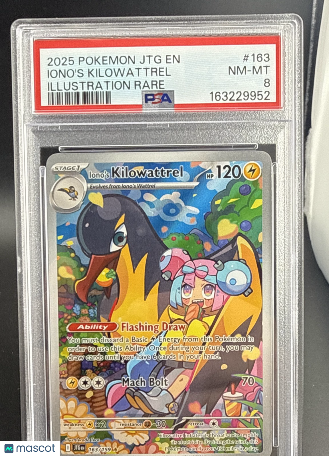 Iono’s Kilowattrel IR 163/159 Holo PSA 8 Near-Mint #163