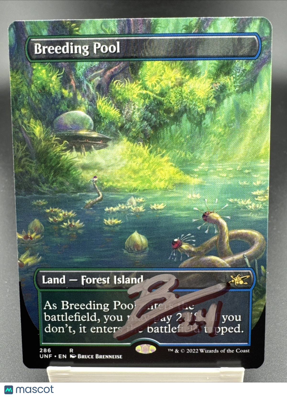 Breeding Pool (Borderless) Unfinity Regular