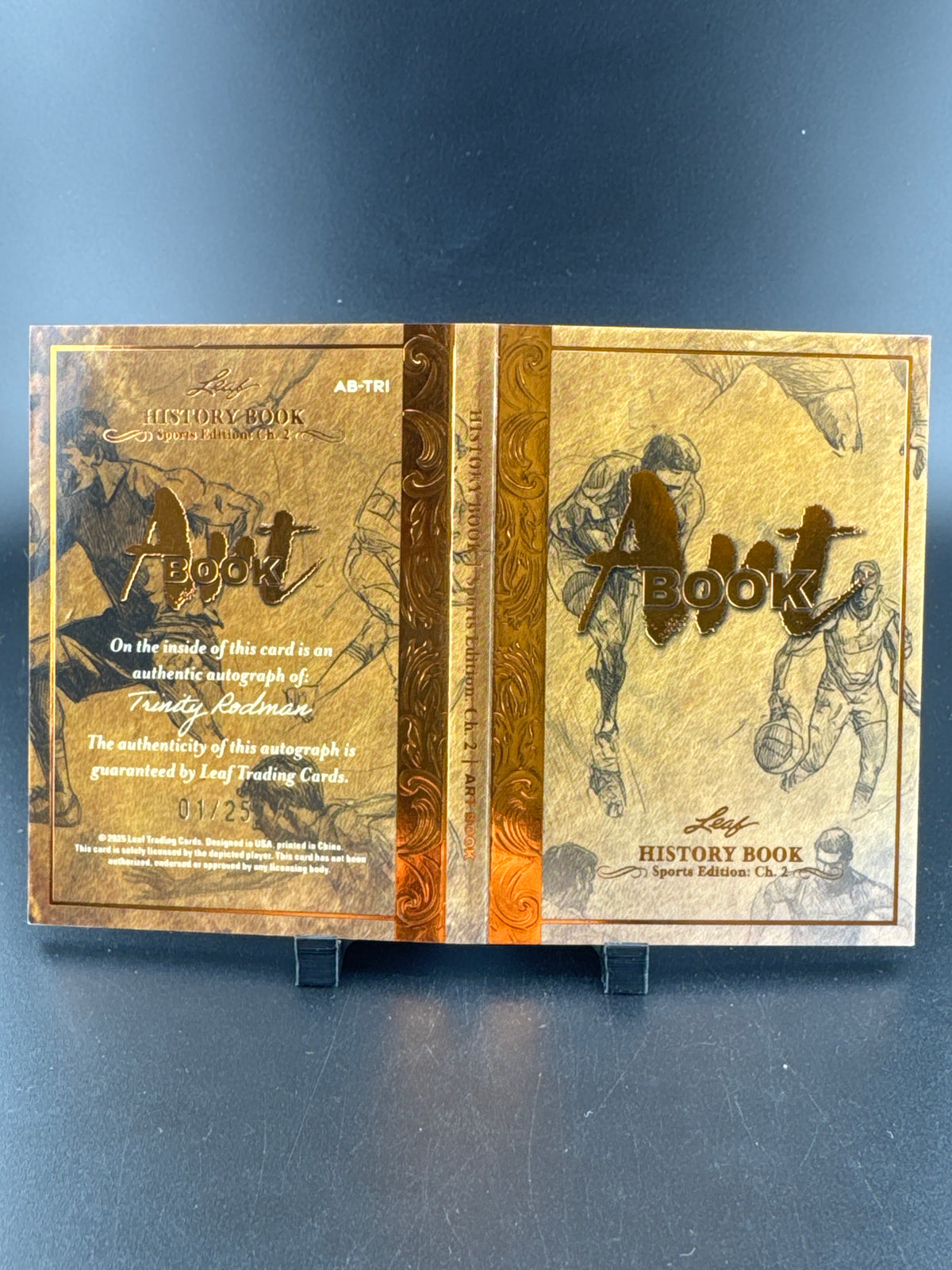 2023 Leaf History Book Sports Edition Chapter 2 Art Book Trinity Rodman