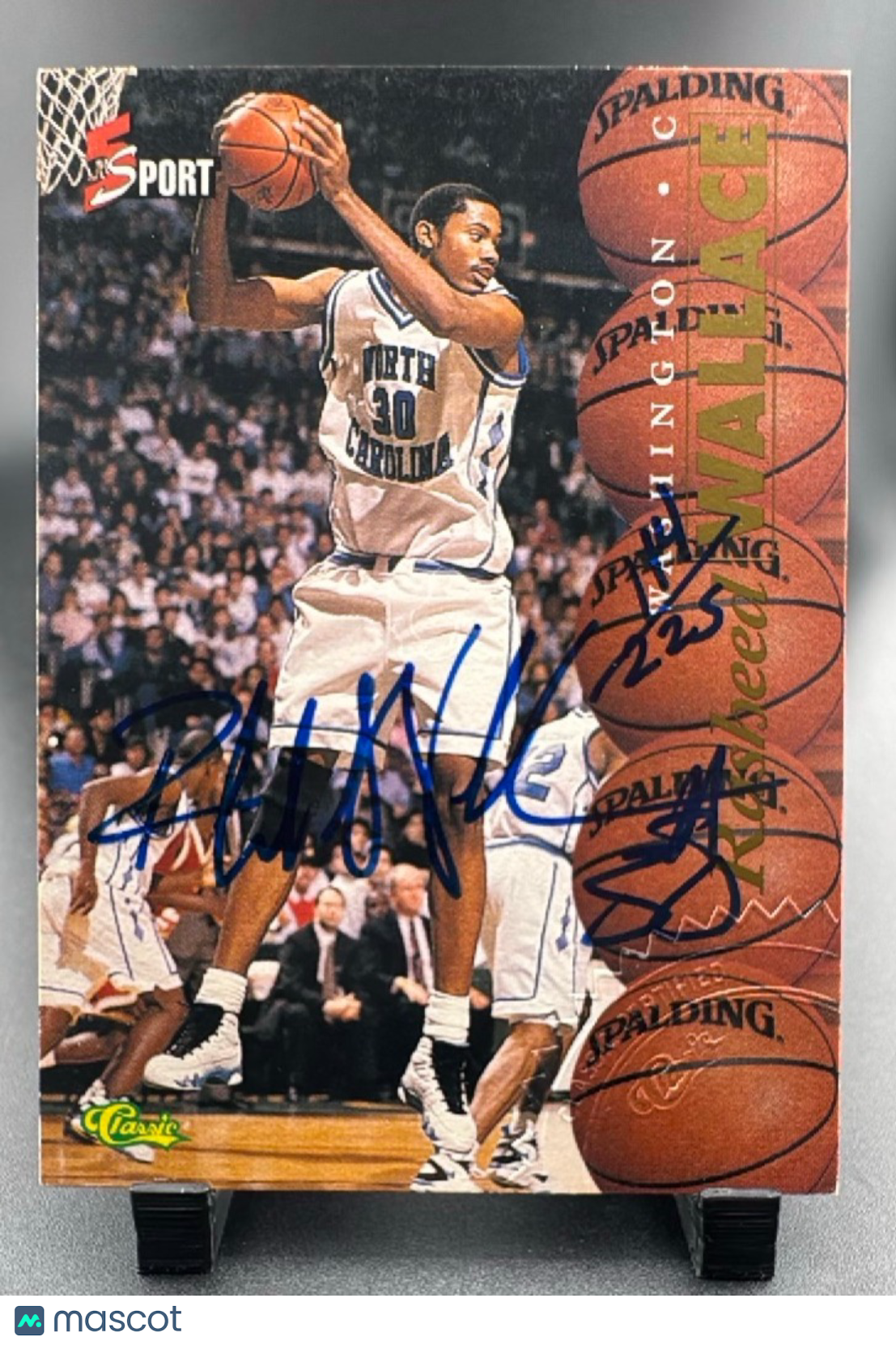 1995 Classic 5 Sport Rasheed Wallace