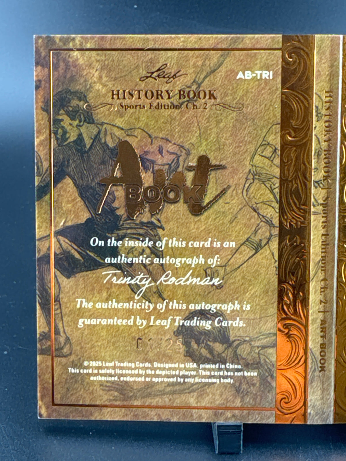 2023 Leaf History Book Sports Edition Chapter 2 Art Book Trinity Rodman
