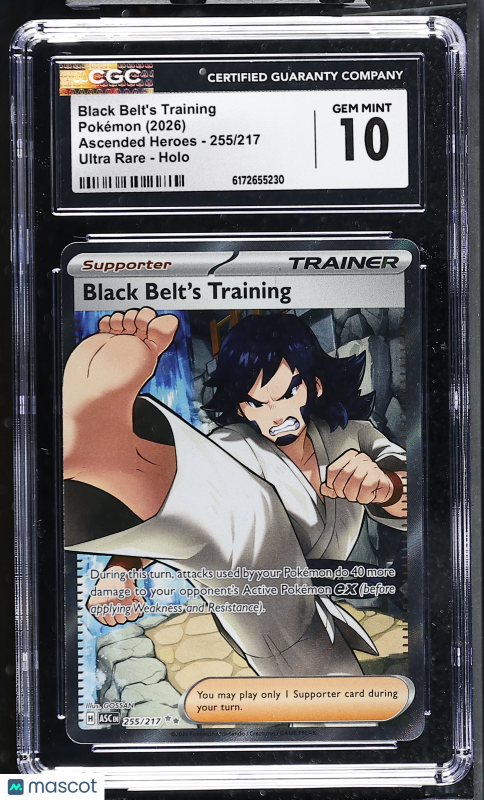 Black Belt's Training 255/217 Me: Ascended Heroes Holo